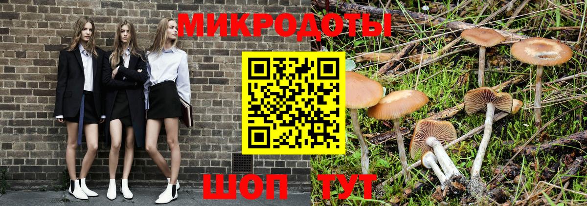 Галлюциногенные грибы Magic Shrooms Большой Камень