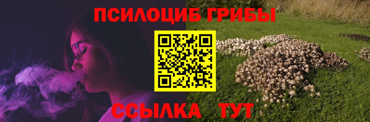 Большой Камень  Галлюциногенные грибы мухоморы  Вход с VPN 